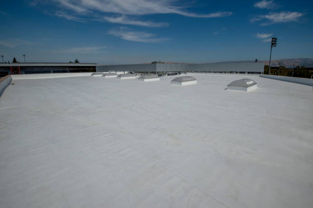 Best Roof Moss and Algae Removal  in Corrigan, TX