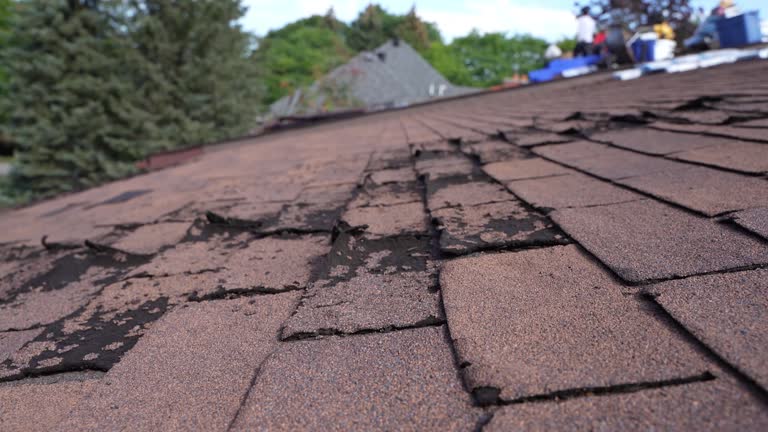 Best Roof Maintenance and Cleaning  in Corrigan, TX